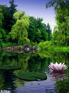 Beautiful Animated Pond.gif
